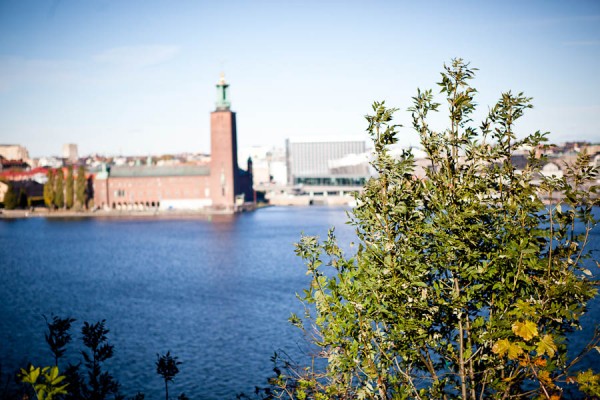 Montelius väg