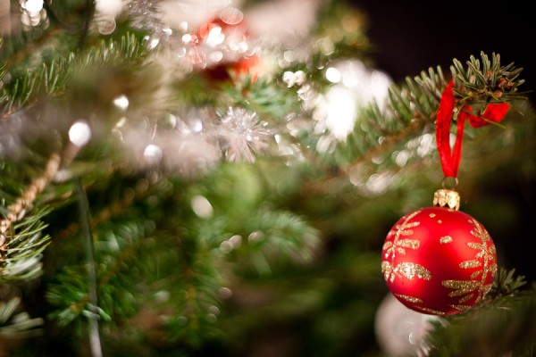 julafton, julkula, gran, juleljus