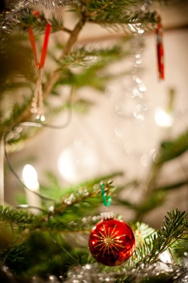 julafton, julkula, gran, juleljus