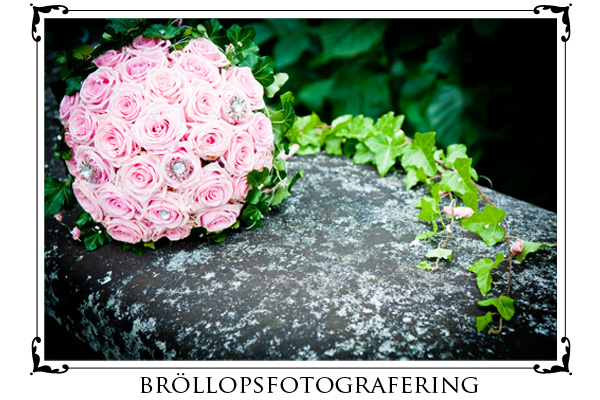bröllopsfotograf, bröllopsfotograf stockholm