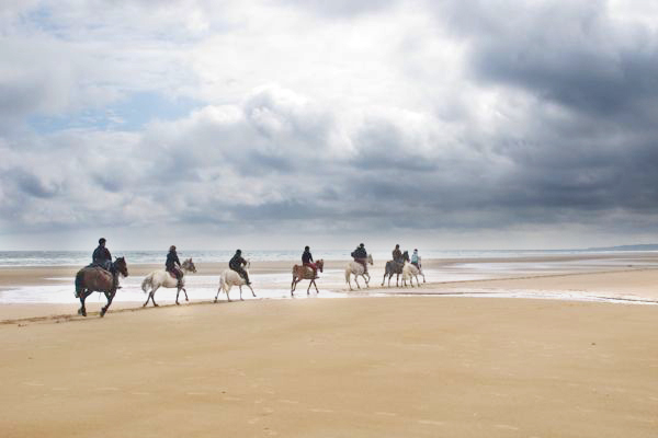 Normandie, tidvatten, rida, hästar, strand, Frankrike
