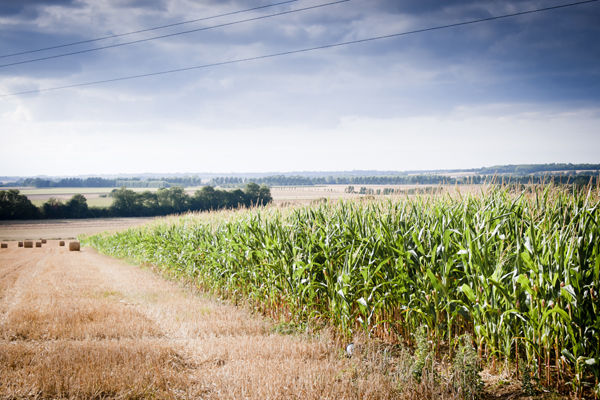 Roadtrip Frankrike, Bretagne subclip, subclip photography, fotograf anna nilsson
